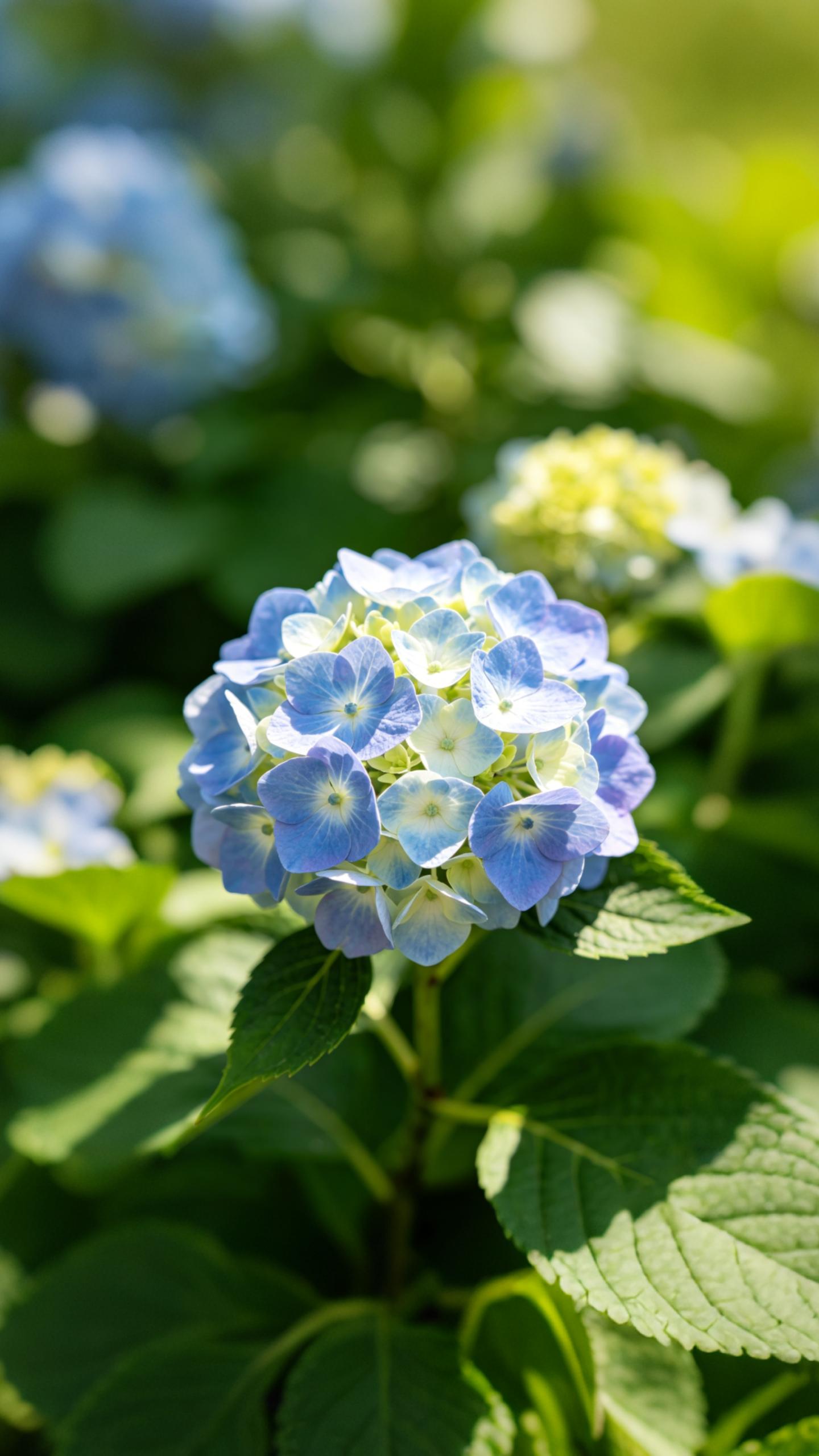 Lush Pastel Hydrangea Clusters
