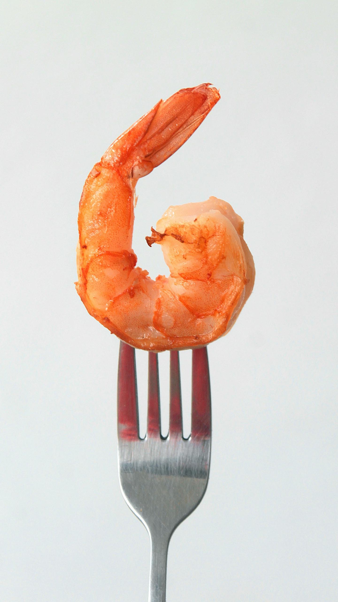 Golden Shrimp Rush