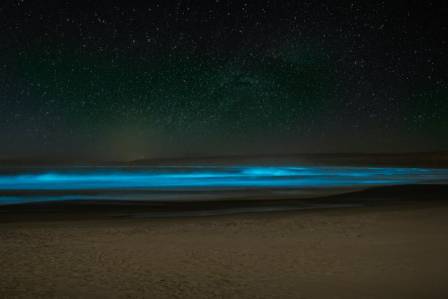 Bioluminescent Beaches and Bays That Glow at Night