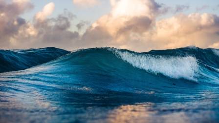 The Role of Ocean Waves in the Marine Environment