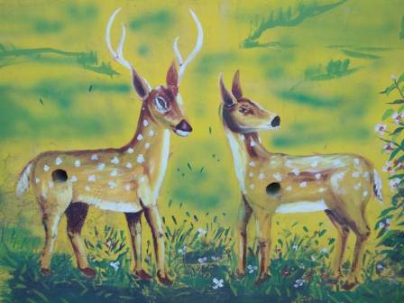 Draw a Fawn
