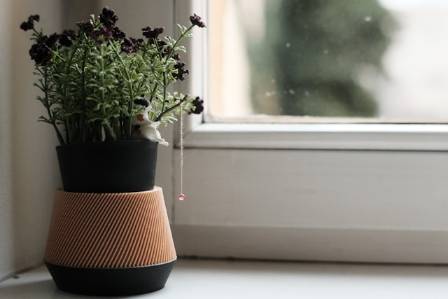 A Modern Approach to Growing Plants at Home