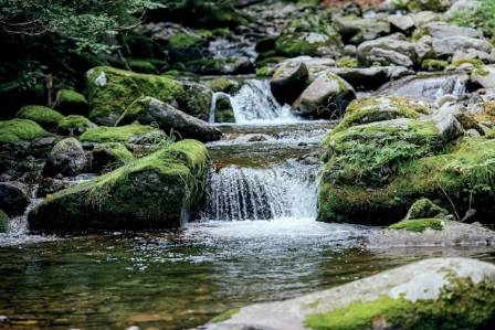 Go with the Flow: Rivers and Streams
