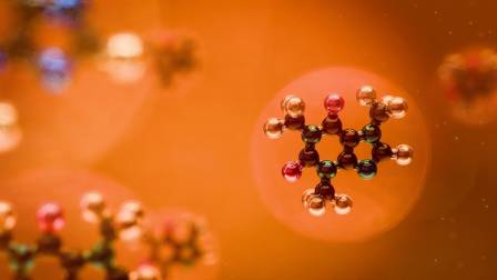 Digital models in biotechnology