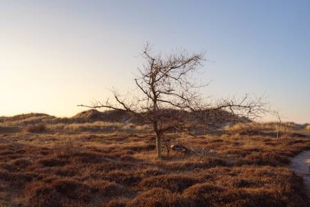 Wilderness and Wasteland: The Challenge of Perspective