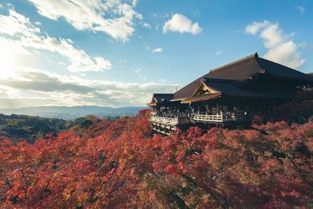 Kyoto’s Hidden Autumn Wonderland